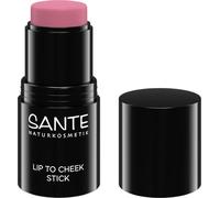 SANTE Naturkosmetik Lip to Cheek Stick 01 Rose - 6 g - Natural Blush for Cheeks, Lips & Brow Arch - Blendable Blush with Creamy Light Texture - for a Fresh Finish & Glow