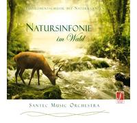 Santec Music Orchestra - Symphony of Nature in the Forest: Stimulating Feel-Good Music and Sounds of Nature