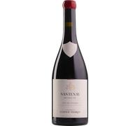 Santenay 1er Cru - Clos de Tavannes 2022 - Vignobles Ludovic Pierrot