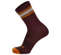 Santini - Bengal High Profile Socks - Cycling socks size 10-12,5 - XL/XXL, brown