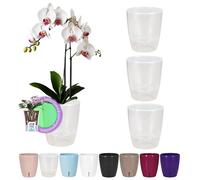 Santino SET OF 4 ORCHIDEA Self-Watering Orchid Pot - 15CM Self-Watering Decorative Planter with Wick System and Water Level Indicator (Ø 15 cm, H 18 cm, 2L - Transparent)