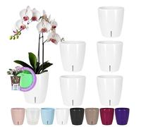 Santino Set of 6 Self-Watering Pots with Wick System and Water Level Indicator for Indoor Use, Orchid Pot D 15 cm (White - 2 L)