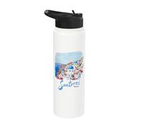 Santorini Greece Island Blue Domes Flowers Souvenir Stainless Steel Insulated Water Bottle