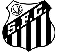 Santos FC Brazil Soccer Football Car Bumper Sticker Decal 12 x 12 cm