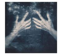 Santos Silva Susana - All The Birds And A Telephone Ringing [VINYL]