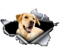 SANTPOT 2Pcs Cute Yellow Labrador Car Sticker Vinyl Trunk Bumper Custom Decal Decoration Sticker Car Stickers Funny Car Bumper Sticker