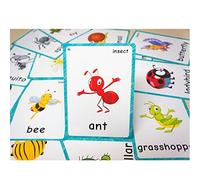 SANTSUN 14 Insects and Bugs Flashcards for Kindergarten Classroom Decoration Background Wall Stickers Teach Flash Card & Daycare Decorations Learning Cards