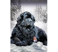 SanZez 5D Diamond Painting Kit,Newfoundland Diamond Painting,Diamond Embroidery Full Complete Kit for Living Room Wall Decor 30x40CM