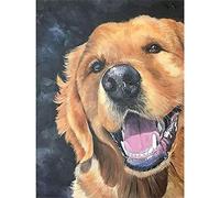 SanZez 5D Diamond Painting Kits for Adults Kids Golden Retriever Dog Rhinestone Diamond Embroidery Paintings 40x40cm