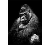 SanZez 5D Diamond Painting Kits Full Drill Gorilla Adults Kids DIY Paste Rhinestone Embroidery Diamond Art Craft 30x40cm