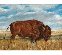 SanZez Diamond Painting,American Bison Buffalo,5D Diamond Art Kits for Adults,Mosaic Crystal Craft Kits for Home Wall Decor 30x40cm