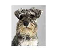 SanZez Diamond Painting,Dog Miniature Schnauzer,5D Diamond Art Kits for Adults,Mosaic Crystal Craft Kits for Home Wall Decor 40x40cm