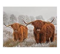 SanZez Diamond Painting Highland Cow and Baby Cow Full Round Drill Embroidery Kit Arts Decors Gifts 50x60cm