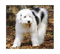 SanZez Diamond Painting,Old English Sheepdog Puppy,5D Diamond Art Kits for Adults,Mosaic Crystal Craft Kits for Home Wall Decor 40x40cm