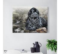 SanZez DIY 5D Diamond Painting Kits Diamond Painting Adults Child Black Newfoundland for Home Decoration Full Diamond Painting Birthday Gifts 40x50cm