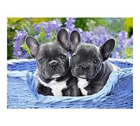 SanZez DIY 5D Diamond Painting Kits Full Drill French Bulldog Rhinestone Diamond Embroidery Diamond Arts Crafts 30x40cm