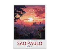 Sao Paulo Brazil,Night,Puzzle 1000 Piece Jigsaw Puzzles for Adults, Classic Puzzle Difficult Puzzle for Kids Teenagers Educational Game Toys Gift for Home Travel(50x70cm)-R19