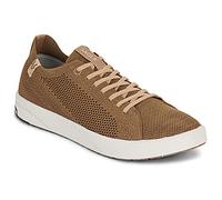 Saola Shoes (Trainers) CANNON KNIT 2.0 in Brown 9