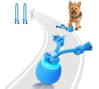 Saolife Interactive Dog Toys, Moving Dog Ball with Touch Activated, Active Rolling Ball for Puppy and Medium Dogs, Squeaky, USB Rechargeable