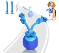 Saolife Interactive Dog Toys with Motion Activated, Squeaky Dog Toy Active Rolling Ball for Puppy and Medium Dogs, USB Rechargeable, Wicked Ball