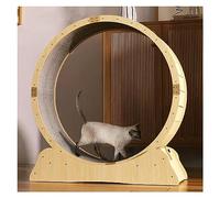 SAPDMBDBBSH Cat Exercise Wheel, Cat Treadmill Wheel, Tiny Gap Cat Running Wheel With Lock, Pet-Friendly Cat Ferris Wheel/Pet Toys(100cm/39.4")