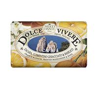 Saponeria Nesti Firenze: "Capri" Perfumed Fine Natural Soap, "Dolce Vivere" Line * 8.8 Ounces (250g) Packages (Pack of 3) * [ Italian Import ] by Saponeria Nesti Firenze