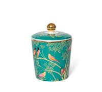 Sara Miller Amber Manadrin Tuberose & Wild Musk Candle Candle in Ceramic Jar