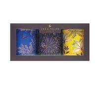 Sara Miller Anniversary Set 3 Round Tin Tea Caddies, Botanical Design, 106mm Diameter x 150mm Height