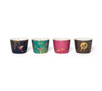 Wax Lyrical - Sara Miller Scented Votive Candle Gift Set for Men and Women