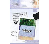 Sara Signature Glittering Snowflakes Collection-Stamp & Die-Winter Solstice, Silver, one Size, S-GS-STD-WISO