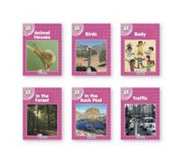 Sara Wernham Jolly Phonics Pink Readers Nonfiction Paperback Book Sara Wernham Multicolor