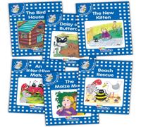 Sara Wernham Jolly Phonics Readers, Inky & Friends, Level 4 Paperback Book Sara Wernham Multicolor