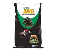 Saracen Conditioning Horse Feed Equi-Jewel 20 kg