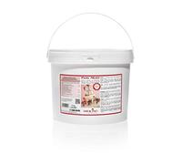 Saracino Model Sugar Paste 5 kg Gluten Free Made In Italy White