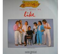 SARAGOSSA BAND - That's what we like / Have a good time / 602 118-213