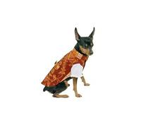 Saraguey Suit for Fallas - Dog Clothes - Size 20 - Ideal for Atmosphering Your Pet in Valencia - Easy Placement with Velcro - Opening on the Bottom - Mi&Dog