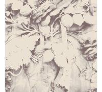 Sarah Davachi - Figures In Open Air