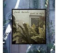 Sarah Davachi - Gave In Rest [VINYL]