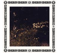 Sarah Davachi - Pale Bloom [VINYL]