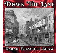 Sarah Elizabeth Shaw Down the Lane Paperback Book Sarah Elizabeth Shaw Multicolor