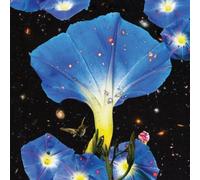 Sarah Louise Nighttime Birds and Morning Stars (Vinyl) 12" Album (US IMPORT)