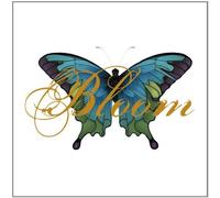 Mclachlan, Sarah - Bloom Remix Album