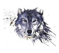 Sarah Stokes Snow Wolf 60x80cm Canvas Print, Multi-Colour