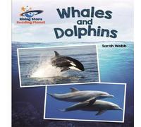 Sarah Webb Reading Planet - Whales & Dolphins - White: Galaxy Paperback Book Sarah Webb Multicolor
