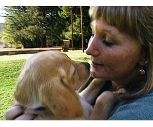 Sarah's Story; Secret in the Attic; Woman's Best Friend