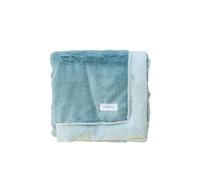 Saranoni Receiving Blankets For Babies Super Soft Boutique Quality Lush Luxury Baby Blanket (Eucalyptus, Receiving Blanket 30" x 40")