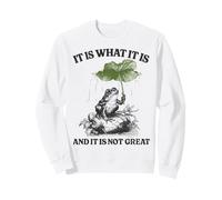 Sarcastic Frog Meme Retro Nature Humor It Is What It Is Sweatshirt