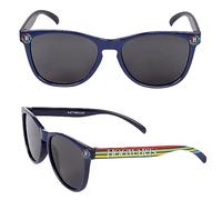 sarcia.eu Harry Potter HOGWARTS Boys' Sunglasses, Navy Blue UV 400