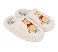 sarcia.eu Winnie the Pooh Non-slip women's slippers, warm, soft, furry slippers for home use (Winnie the Pooh, One Size, UK Footwear Size System, Adult, Women, Numeric Range, Medium, 5, 6)