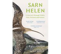 Sarn Helen: A Journey Through Wales, Past, Present and Future